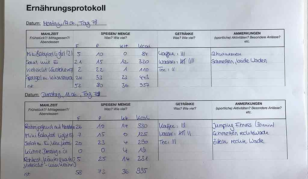 Ernährungsprotokoll