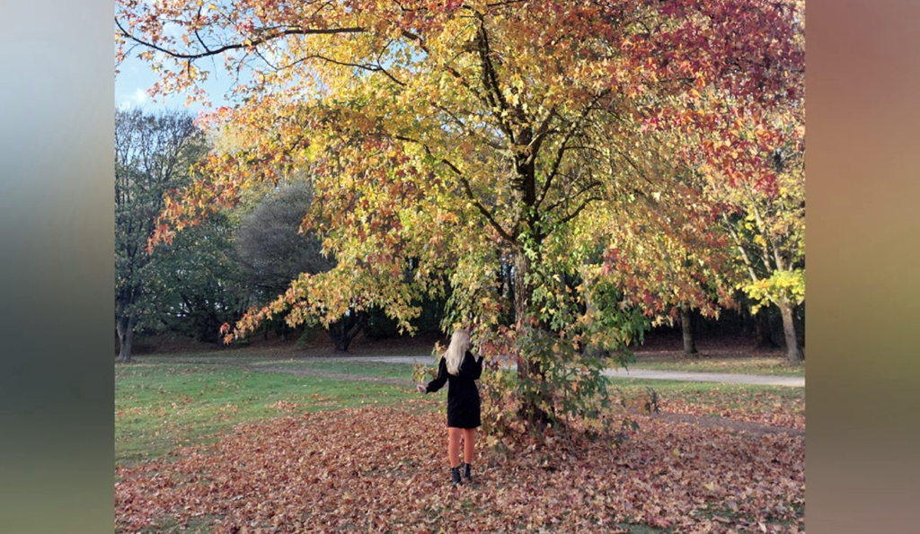 Herbstspaziergang